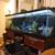 Fish tank 1 thumbnail