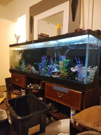 Fish tank 1