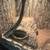 Ball python mojave 2 thumbnail