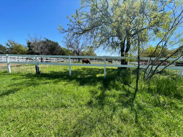 Horse Boarding 1
