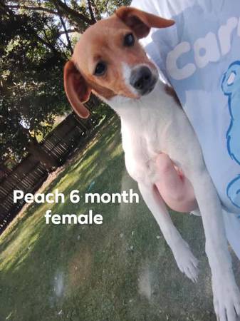 Can you help us please? (Elkhart)64035003801090123