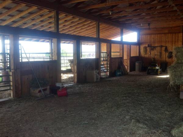 Horse boarding facility, I do the work, you ride 1
