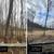 Land Clearing, Tree Services, Wild Fire Prevention, Road Maintenance! 4 thumbnail