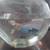 Fish 2 thumbnail