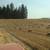 Small bale straw 1 thumbnail