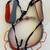 CLIMBING HARNESS: Black Diamond Momentum Size M / ATC / HMS Carabiner 1 thumbnail