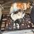 I have a two liters -one is Pomeranian parti and tri and the ot 7 thumbnail
