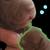 Puppy is looking for new home 1 thumbnail