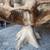 Unique tree stump dining table 3 thumbnail