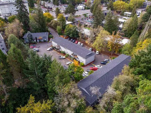 $1,650 / 2br - 850ft2 - Just stunning! Spacious 2 Bed, 1 bath with lots of light (Portland)63777363052931120