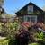 Charming cottage to rent close to UC Berkeley 4 thumbnail