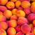 *WANTED-fruit for canning 4 thumbnail