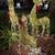 3 Family Deer Christmas Reindeer Display Deco Light Deer 3 thumbnail