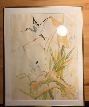 ‘Nature’s Outline’ Framed Vintage Artwork 1