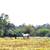 23.58 Acre Homesite For Sale - Owner Financing Available 3 thumbnail