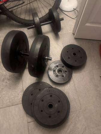 Free weights 1
