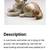 Retired Lladro Cat Figurine #5114 Mint 7 thumbnail