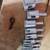 Ten Piece Diamond Hole Saw Kit 4 thumbnail