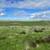 30 Acres in north Bakersfield for sale or lease - Seller Finance 7 thumbnail