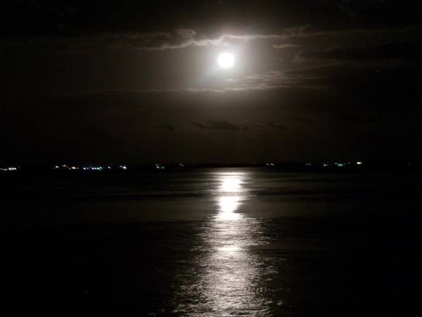 $1,800 Oceanfront RV Lot for Rent November 2025 (Cudjoe Key)63923416399874124