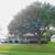 Pet ok,fenced yard,Surfside near beach,front porch,freshly painted! 2 thumbnail