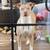 3yr old Female Lab/Pit mix 5 thumbnail