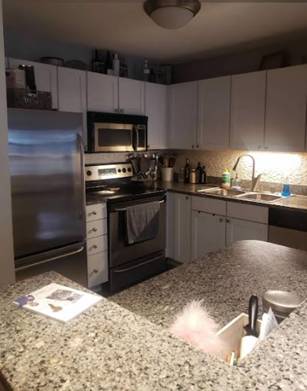 $2,450 / 1br - Short-Term, Furnished, Dog-Friendly One Bedroom - Great for Travel RNs (River North)63898732385666124