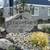 Premium Flooring, Stainless Steel Appliances, Large Balconies/patios 3 thumbnail