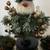 NEW-Snowman Head With Top Hat & Carrot Nose Candle Holder Centerpiece 1 thumbnail