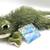 Webkinz Ganz Green Gecko HM186 Lizard Stuffed Animal New Sealed Tag 1 thumbnail