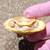 morph Belize slider turtle 6 thumbnail