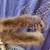 LOT: 11 Vintage Hats, Fur Headpiece, Sparkling Turban, all for just 3 thumbnail
