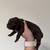 Aussie puppies 2 thumbnail