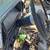 Ford F250 Year  1990  long bed  only parts 2 thumbnail