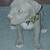 Pitbull xl rednose fawn puppies 11 thumbnail