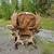 Moose Antler Rocking Chair 1 thumbnail