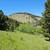 4.8 ac land property for sale borders public land, trees, views, mtns 2 thumbnail