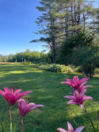 $400 / 3br - 2000ft2 - Log Home Rental (Londonderry, VT)63313448968835122