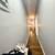 2 bedroom with 🍃🍂🍃private backayard prime bushwick 5 thumbnail