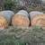 Oat hay 3 thumbnail
