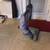 ### Kirby Sentria Upright Vacuum ### 6 thumbnail