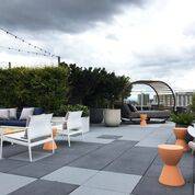$1,335 / 1br - Clean, Cute, Close to Everything - 1 Bed/ 1 Bath63956648434947120