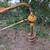 Danuser Heavy Duty Post Hole Digger 12" Auger 11 thumbnail