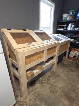 Brooder rental 1