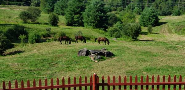 $1,500 / 2br - 1200ft2 - Private home on 10 acres (Hardwick)63784663257345122