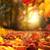 FALL CLEANUP!! 2 thumbnail
