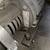 AMPCO AC114MD56C-S 3A Sanitary Pump #2 5 thumbnail