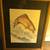 Framed Wildlife Prints 5 thumbnail