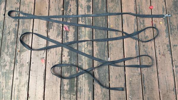 25 foot long dog leash 1