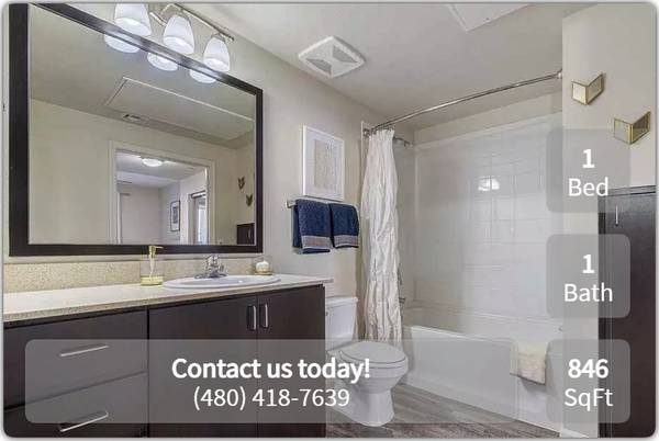 Comfortable 1 BR / 1 BA with private washer and dryer 1